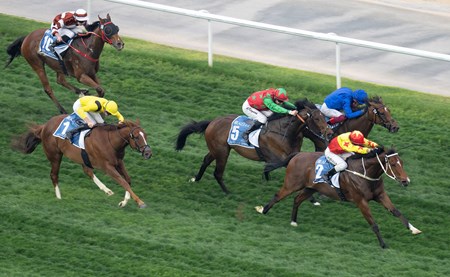 California Spangle (IRE) - Horse Profile - BloodHorse