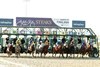 Endlessly wins the Jeff Ruby Steaks on Saturday, March 23, 2024 at Turfway Park