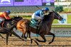 3/23/2024 - Catching Freedom with Flavien Prat aboard pulls away to win the 111th running of the Grade II $1,000,000 Louisiana Derby at Fair Grounds.  Hodges Photography / Lou Hodges, Jr.