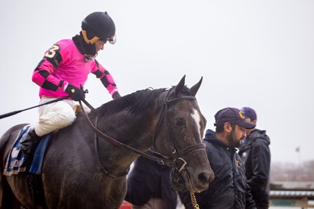 Deterministic after winning the Gotham Stakes at Aqueduct Racetrack