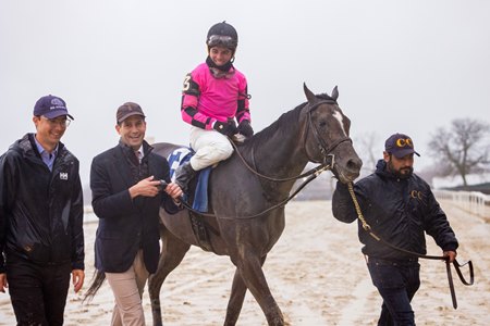 Deterministic after winning the Gotham Stakes at Aqueduct Racetrack