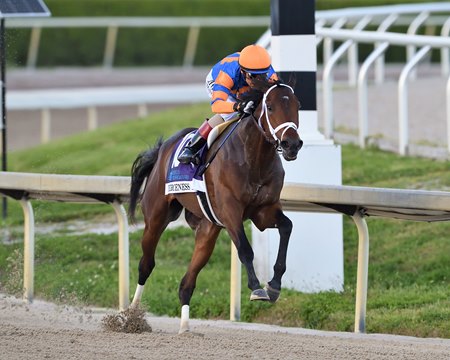 Fierceness en route to winning the Florida Derby at Gulfstream Park