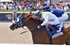 Il Miracolo wins the 2024 Ghostzapper Stakes at Gulfstream Park