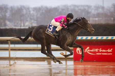Deterministic wins the Gotham Stakes at Aqueduct Racetrack