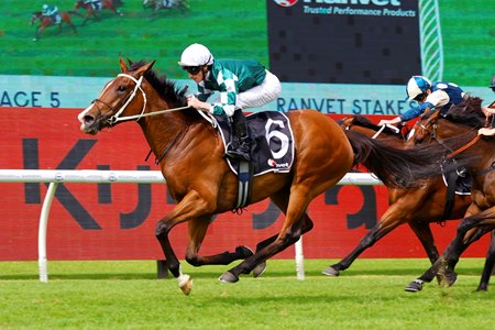 Via Sistina wins the Ranvet Stakes in her Australian debut at Rosehill Gardens