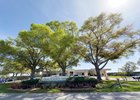 2024 OBS March 2 year old Sale, Scene