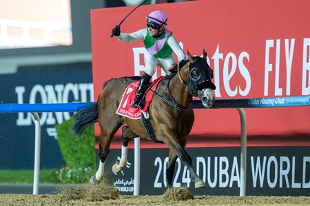 Laurel River wins the 2024 Dubai World Cup at Meydan Racecourse