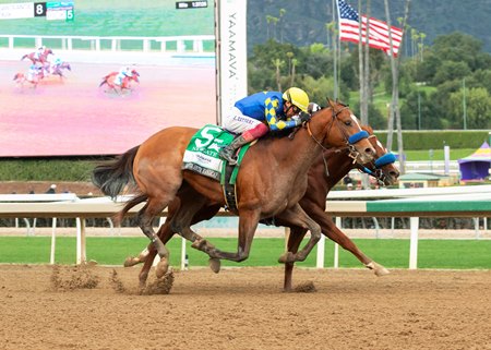 Newgate wins the Santa Anita Handicap at Santa Anita Park