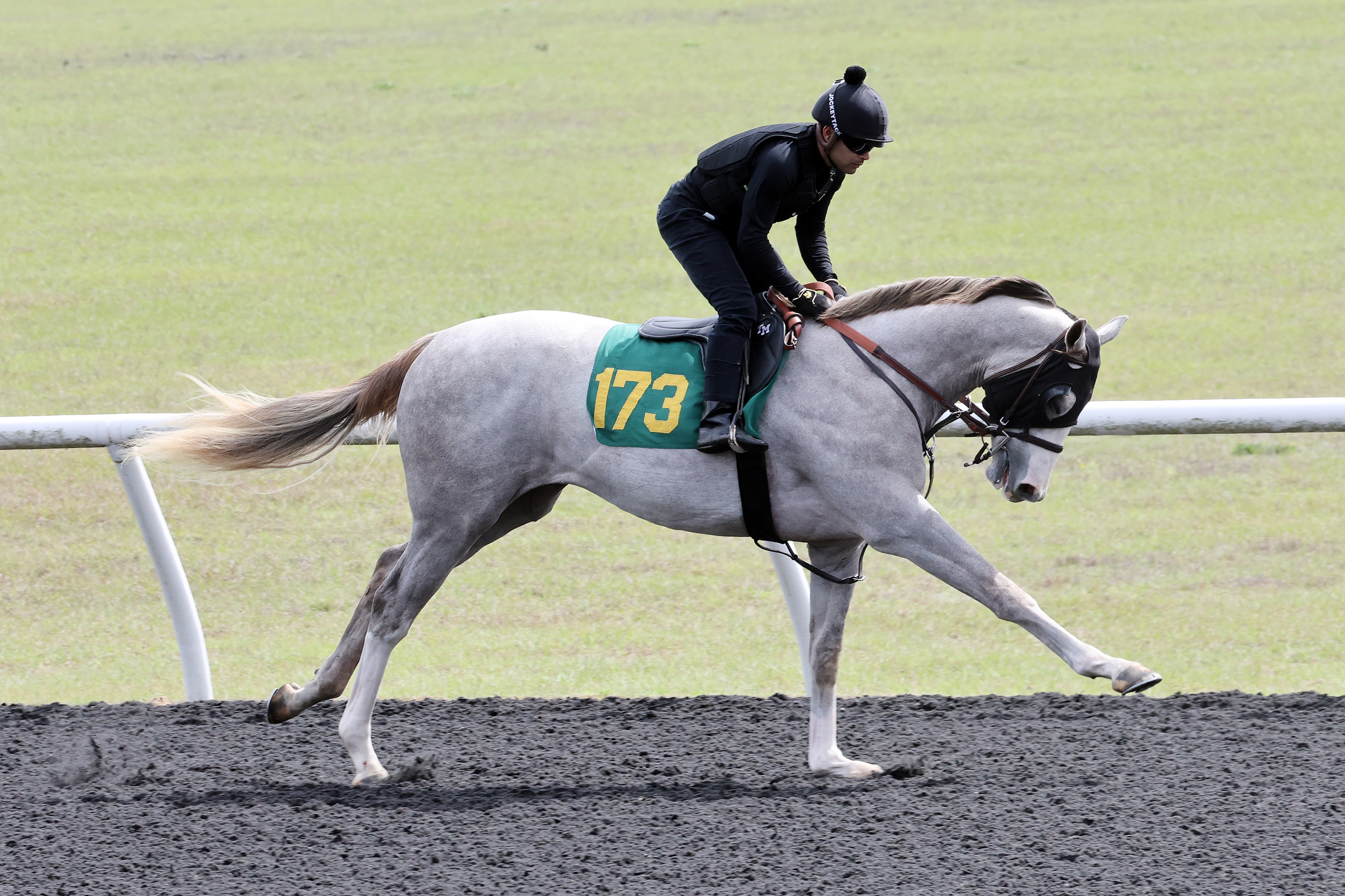 Messara Receives 2019 International Award of Merit BloodHorse