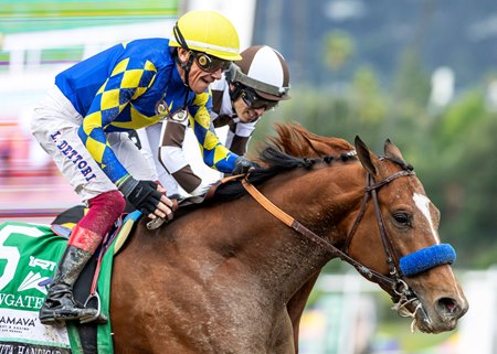 Newgate wins the Santa Anita Handicap at Santa Anita Park