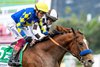 Newgate and jockey Lanfranco Dettori, outside outfinish Subsanador (Hector I. Berrios) inside to win the Grade I $400,000 Santa Anita Handicap Sunday, March 3, 2024 at Santa Anita Park, Arcadia, CA, giving trainer Bob Baffert his third stakes win on the day.
Benoit Photo