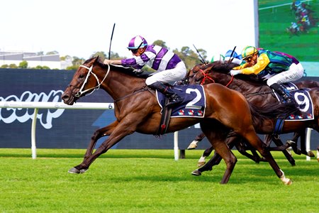 Riff Rocket wins the Rosehill Guineas at Rosehill Gardens 