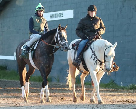 D. Wayne Lukas leads Lemon Muffin off the track in the spring of 2024 at Oaklawn Park