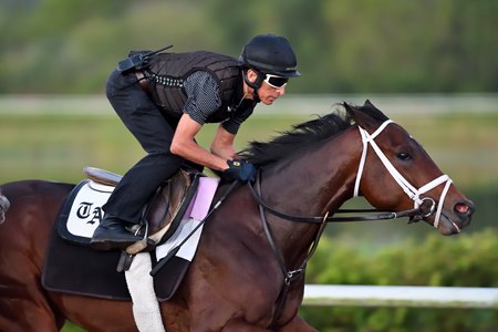 Fierceness will try to land his first win of 2024 in the Florida Derby at Gulfstream Park