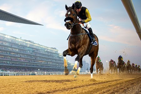 Tuz wins the Dubai Golden Shaheen at Meydan Racecourse