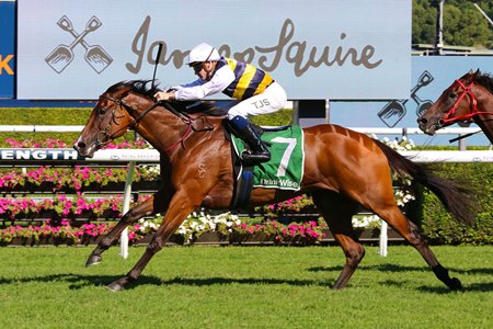 Lady Laguna, pictured winning the Canterbury Stakes at Randwick Racecourse, will try to put Bravo Centurion to the test in the Winterbottom Stakes at Ascot Racecourse