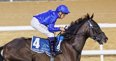 Rebel's Romance after winning the Dubai Sheema Classic at Meydan Racecourse