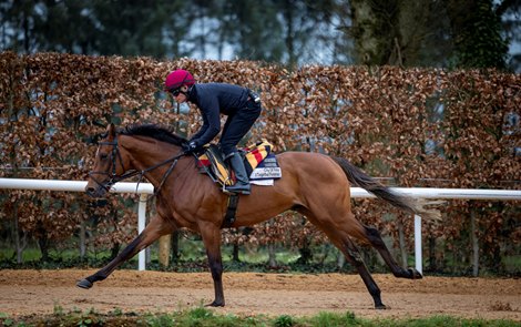 Kentucky-Bred City of Troy on Track for Epsom Derby