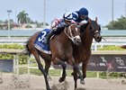 Steal Sunshine wins the 2024 Gulfstream Park Mile Stakes at Gulfstream Park