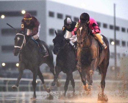 Deterministic (right) wins the Gotham Stakes at Aqueduct Racetrack