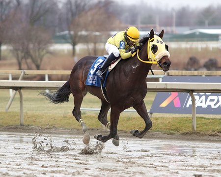 Lonesome Boy wins the 2024 City of Brotherly Love Stakes at Parx Racing