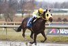 Lonesome Boy wins the City of Brotherly Love Stakes on March 5, 2024 at Parx Racing
Photo by Nikki Sherman/EQUI-PHOTO.