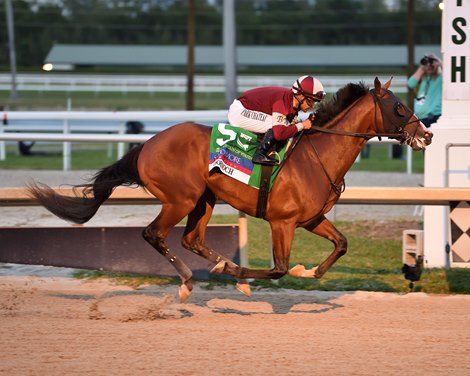 Dornoch Scores Against Depleted Fountain of Youth Field - BloodHorse