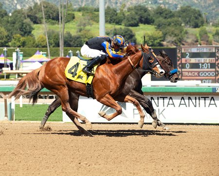 Corposo (outside) edges Bonaqua to break her maiden at Santa Anita Park