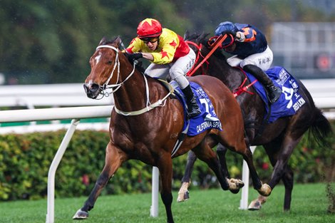 California Spangle Back to Best in HK, Earns Dubai Trip - BloodHorse