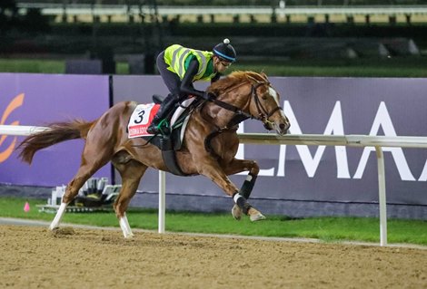 Pre-Entries Point to a Most International Breeders’ Cup