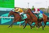 Lady Of Camelot wins the 2024 Golden Slipper Stakes at Rosehill Gardens
ridden by Blake Shinn and Trained by Gai Waterhouse &amp; Adrian Bott