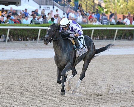 Red Carpet Ready wins the Hurricane Bertie Stakes at Gulfstream Park