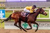 3/24/2024 - Free Like A Girl with jockey Corey Lanerie aboard wins the 4th running of the Shantel Lanerie Memorial Stakes named in honor of his late wife.   Hodges Photography / Lou Hodges, Jr.