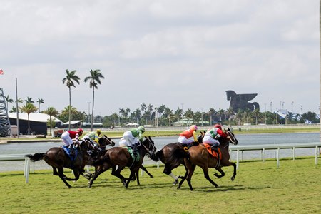 Racing at Gulfstream Park