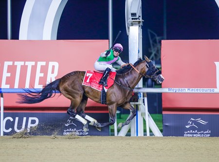 Laurel River wins the 2024 Dubai World Cup at Meydan Racecourse