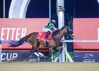 Laurel River and Tadhg O’Shea Win the 2024 Dubai World Cup at Meydan Racecourse
