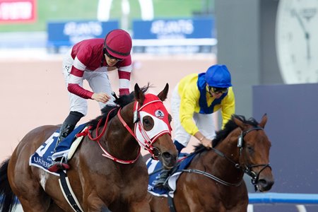 Forever Young, seen winning the 2024 UAE Derby, was a key player in the international "Road to the Kentucky Derby" series, which kicks off again Sept. 28 in England and Ireland