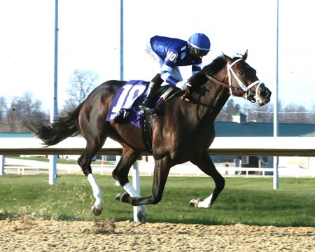 Endlessly wins the Jeff Ruby Steaks at Turfway Park