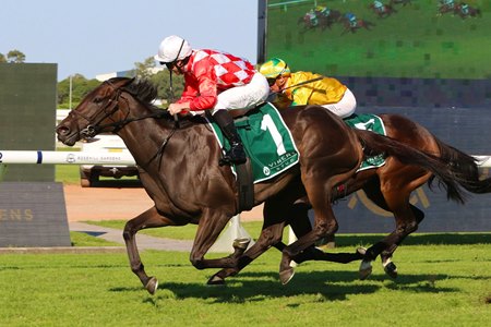 Orchestral wins the Vinery Stud Stakes at Rosehill Gardens Racecourse