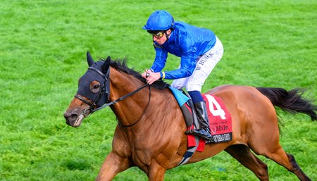 Master of The Seas wins the 2024 Maker's Mark Mile Stakes at Keeneland