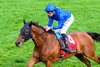 Master of The Seas with William Buick wins the Maker’s Mark Mile (G1T) at Keeneland on April 12, 2024 

