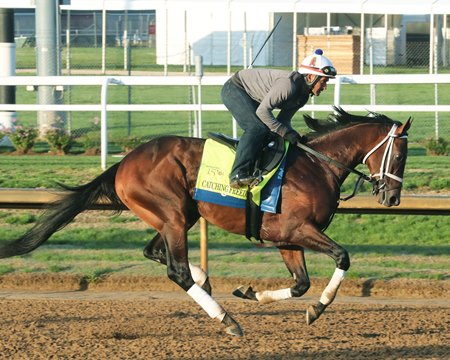 Catching Freedom gallops at Churchill Downs