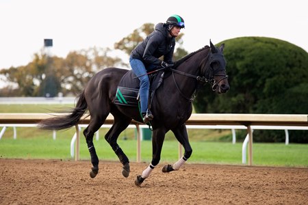 Molly Rollins at Keeneland