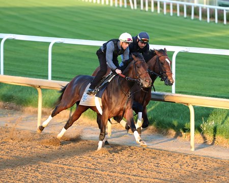 Ben Curtis rides Honor Marie (outside) during a workout at Churchill Downs