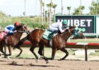 Dancing Porky, Maiden Win, Turf Paradise, April 25 2024
First winner for Honor A. P. 