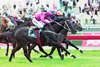 Lonhro shown winning the 2002 Mackinnon Stks at Flemington;
Lonhro who has passed away aged 25. Lonhro won 26 races including 11 Group 1 races from 2001 to 2005 and was one of the leading Stallions until his retirement from Stud Duties 12 months ago (spring 2023).