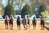 Bo Cruz wins the Commonwealth Stakes on Saturday, April 6, 2024 at Keeneland