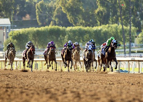 Cal-Breds Hold The Key to California Racing’s Future