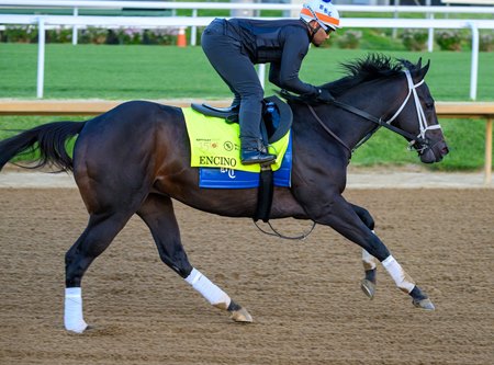 Encino trains in 2024 at Churchill Downs