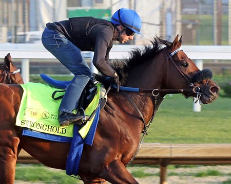 Stronghold trains at Churchill Downs for the Kentucky Derby